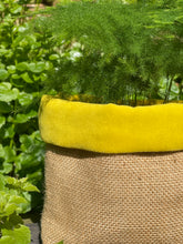 Load image into Gallery viewer, Hessian Fabric Plant Pot
