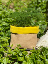 Load image into Gallery viewer, Hessian Fabric Plant Pot