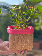 Load image into Gallery viewer, Silver Flaked Cork Pot