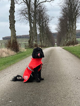 Load image into Gallery viewer, Leopard Print Velvet Lampshade