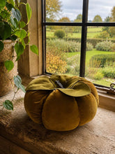 Load image into Gallery viewer, Mustard Velvet Pumpkin Large
