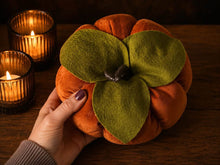 Load image into Gallery viewer, Copper Velvet Pumpkin Large-ish

