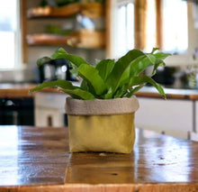 Load image into Gallery viewer, Mustard Velvet &amp; Hessian Pot

