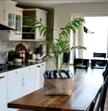 Load image into Gallery viewer, Zebra Print Velvet &amp; Hessian Pot

