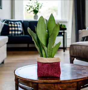 Burgundy Velvet Chenille & Hessian Pot