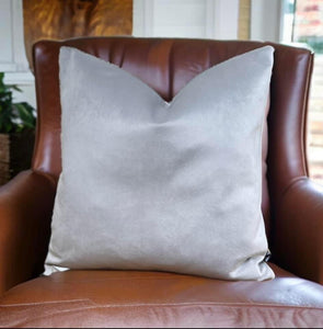 Silver Velvet Cushion