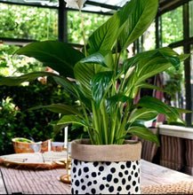 Load image into Gallery viewer, Dalmation Print Velvet &amp; Hessian Pot
