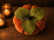 Load image into Gallery viewer, Copper Velvet Pumpkin Large-ish

