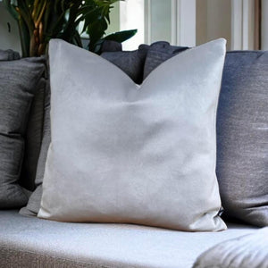 Silver Velvet Cushion
