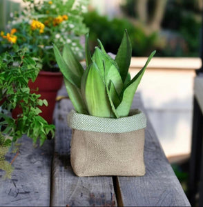 Sage Wool Mix & Hessian Pot