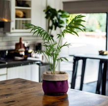 Load image into Gallery viewer, Aubergine Velvet &amp; Hessian Pot
