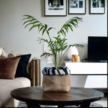 Load image into Gallery viewer, Zebra Print Velvet &amp; Hessian Pot
