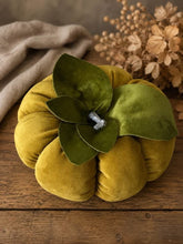 Load image into Gallery viewer, Mustard Velvet Pumpkin Large
