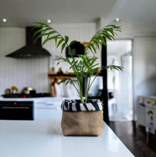 Load image into Gallery viewer, Zebra Print Velvet &amp; Hessian Pot
