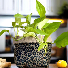 Load image into Gallery viewer, Leopard Print Velvet &amp; Hessian Pot
