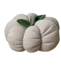 Load image into Gallery viewer, Soft Knit Wool Cream Pumpkin
