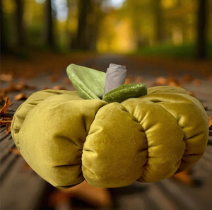 Cinderella Mustard Velvet Pumpkin