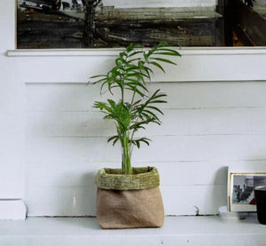 Moss Velvet Chenille & Hessian Pot