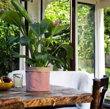 Load image into Gallery viewer, Red Stripe &amp; Hessian Pot

