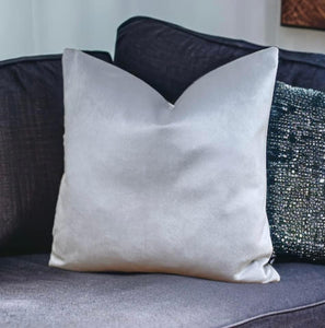 Silver Velvet Cushion