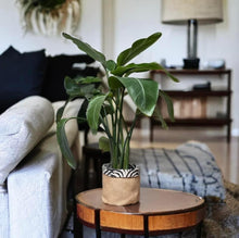 Load image into Gallery viewer, Linen Mix Zebra &amp; Hessian Pot
