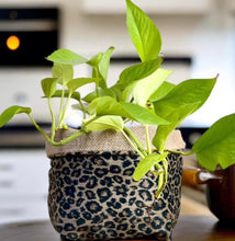 Load image into Gallery viewer, Leopard Print Velvet &amp; Hessian Pot
