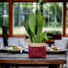 Load image into Gallery viewer, Burgundy Velvet Chenille &amp; Hessian Pot
