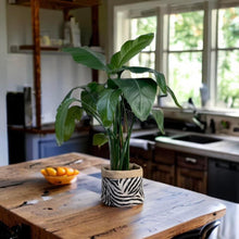 Load image into Gallery viewer, Linen Mix Zebra &amp; Hessian Pot
