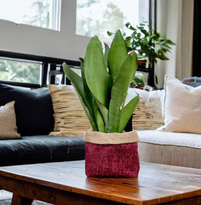 Burgundy Velvet Chenille & Hessian Pot