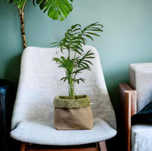 Load image into Gallery viewer, Moss Velvet Chenille &amp; Hessian Pot
