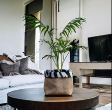 Load image into Gallery viewer, Zebra Print Velvet &amp; Hessian Pot
