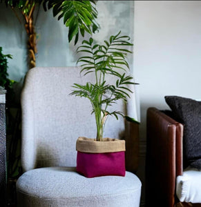 Cerise Italian Milled Wool & Hessian Pot