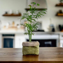Load image into Gallery viewer, Moss Velvet Chenille &amp; Hessian Pot

