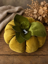 Load image into Gallery viewer, Mustard Velvet Pumpkin Large
