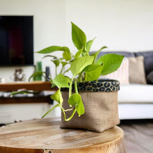 Load image into Gallery viewer, Leopard Print Velvet &amp; Hessian Pot
