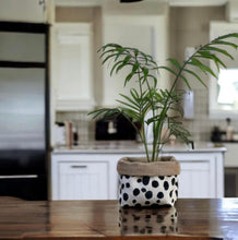 Load image into Gallery viewer, Dalmation Print Velvet &amp; Hessian Pot
