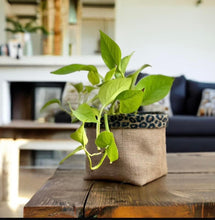 Load image into Gallery viewer, Leopard Print Velvet &amp; Hessian Pot
