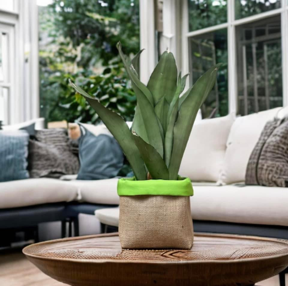 Bright Green Water Resistant Canvas & Hessian Pot