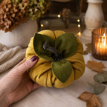 Load image into Gallery viewer, Mustard Velvet Pumpkin Medium
