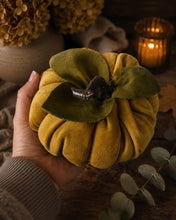 Load image into Gallery viewer, Mustard Velvet Pumpkin Medium
