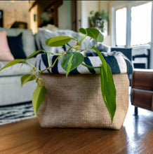 Load image into Gallery viewer, Zebra Print Velvet &amp; Hessian Pot
