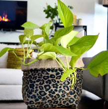 Load image into Gallery viewer, Leopard Print Velvet &amp; Hessian Pot
