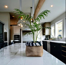 Load image into Gallery viewer, Zebra Print Velvet &amp; Hessian Pot
