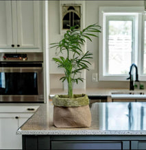 Load image into Gallery viewer, Moss Velvet Chenille &amp; Hessian Pot
