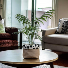 Load image into Gallery viewer, Dalmation Print Velvet &amp; Hessian Pot
