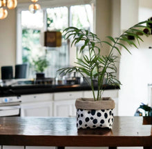 Load image into Gallery viewer, Dalmation Print Velvet &amp; Hessian Pot
