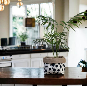 Dalmation Print Velvet & Hessian Pot