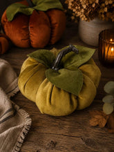 Load image into Gallery viewer, Mustard Velvet Pumpkin Medium
