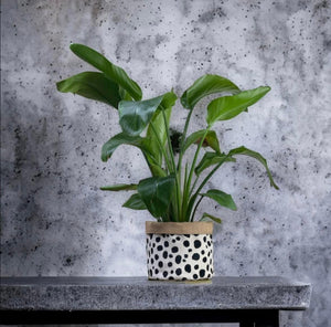 Dalmation Print Velvet & Hessian Pot
