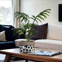 Load image into Gallery viewer, Dalmation Print Velvet &amp; Hessian Pot
